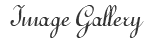 Image Gallery